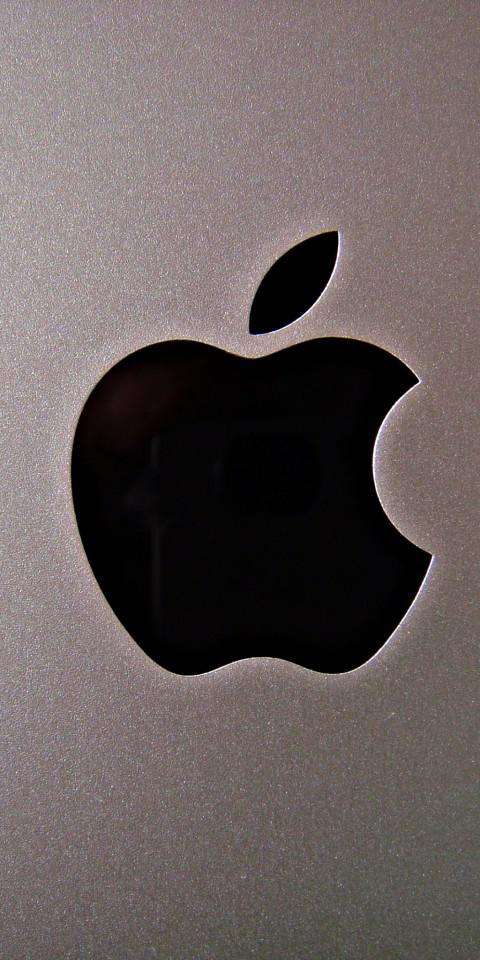 带苹果标志的手机壁纸苹果logo标志图片大全-第2张图片-太平洋在线下载