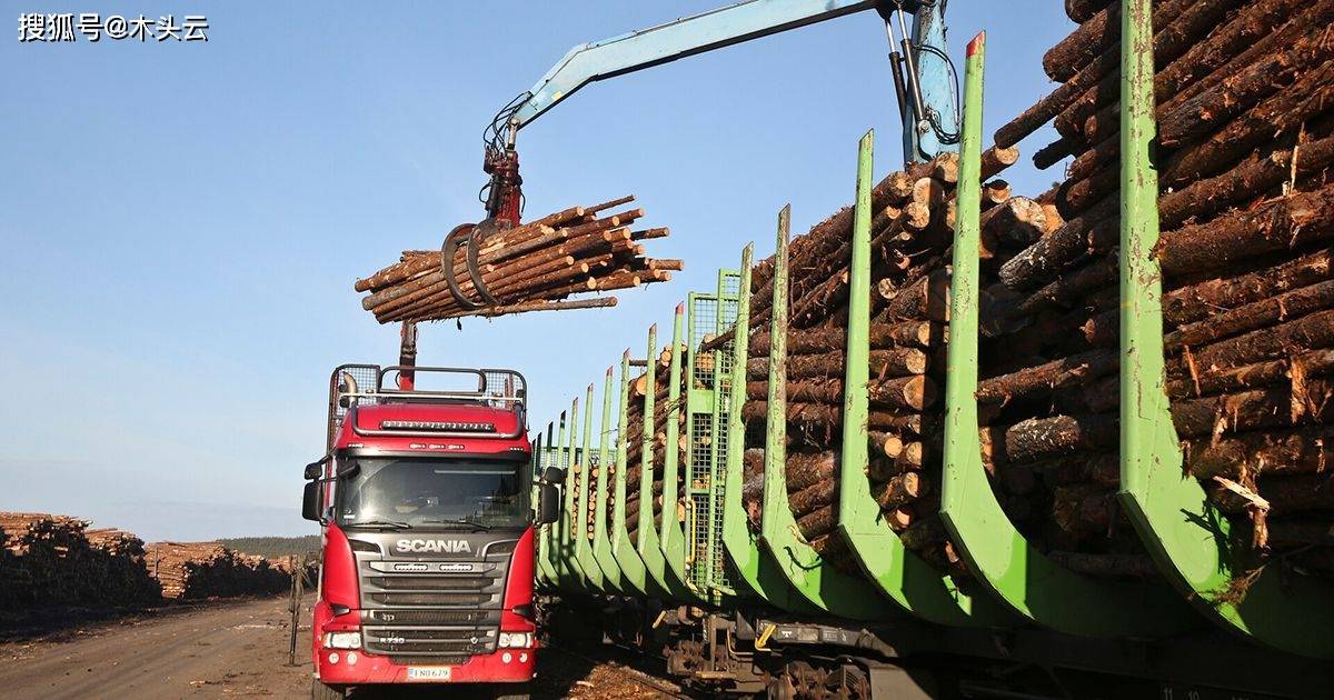 华为手机出口俄罗斯现状
:俄罗斯：原木出口禁令绝不松口 中国原木进口难度增加-第4张图片-太平洋在线下载
