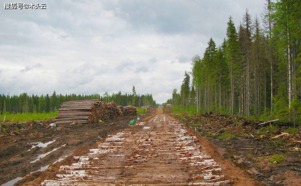 华为手机出口俄罗斯现状
:俄罗斯：原木出口禁令绝不松口 中国原木进口难度增加-第9张图片-太平洋在线下载