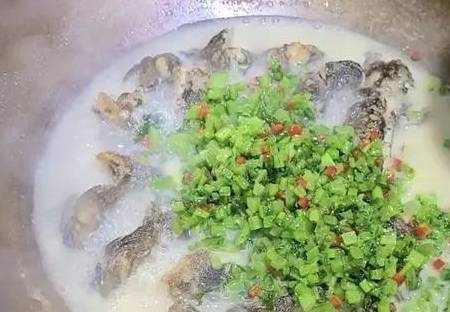 烹饪发狂厨师苹果版
:陈忠明：虾螺鱼蟹乡的聂凤乔-第1张图片-太平洋在线下载