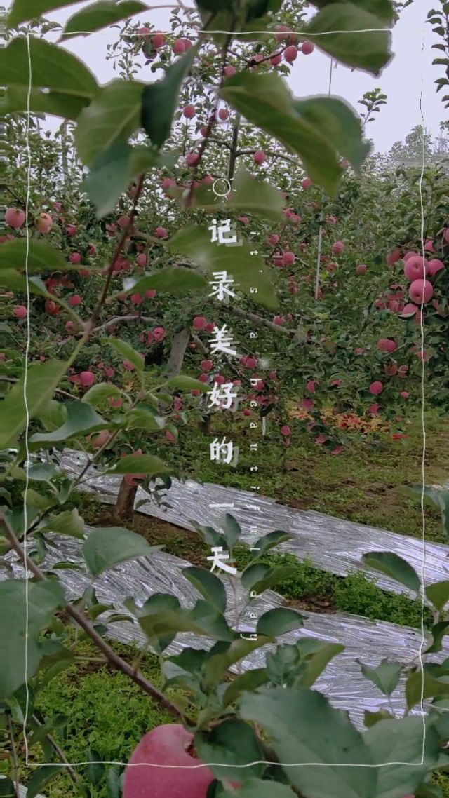 可遇苹果版可遇交友app-第2张图片-太平洋在线下载