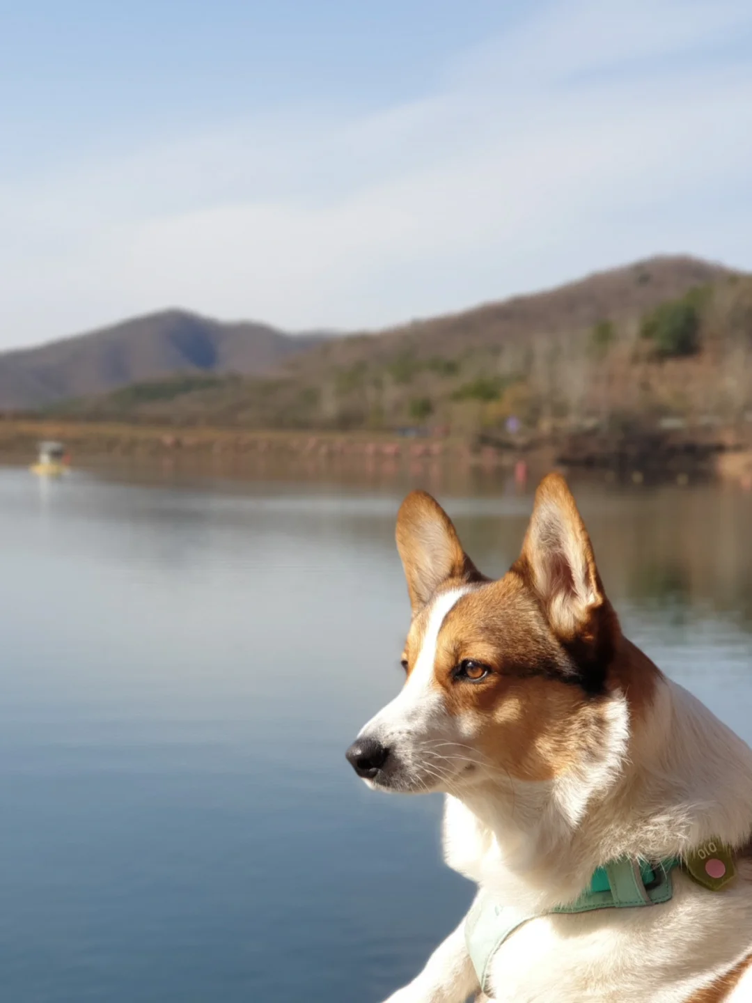 狗出游苹果版哈狗游戏大厅下载