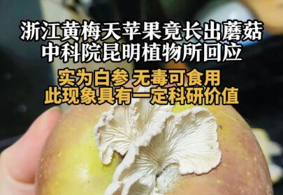 蘑菇物联苹果版tplink物联苹果版-第2张图片-太平洋在线下载