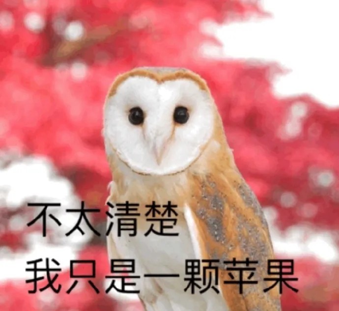 苹果表情中文版苹果输入法表情符号大全