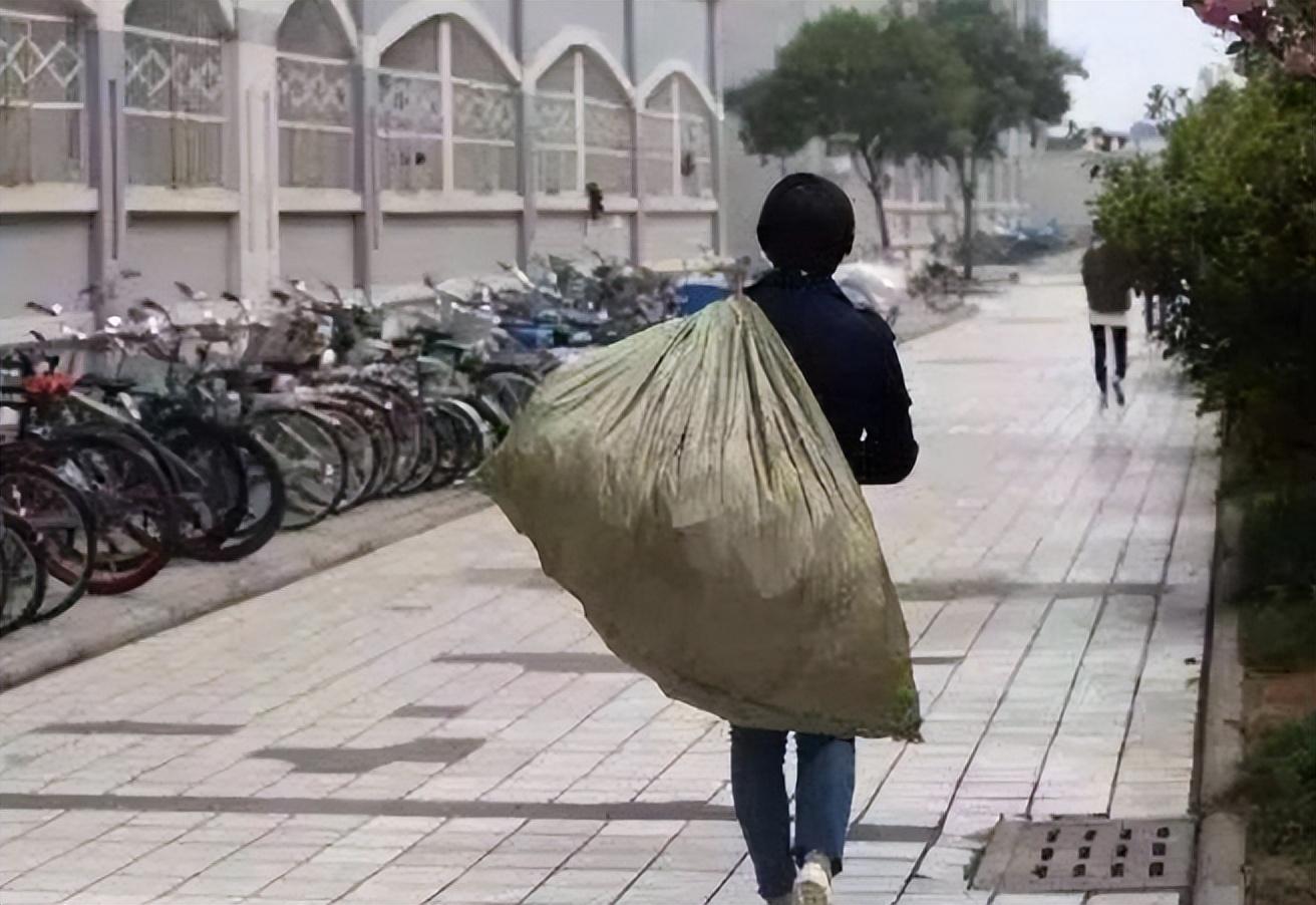 拾荒手机版拾荒蓝星程乞-第2张图片-太平洋在线下载